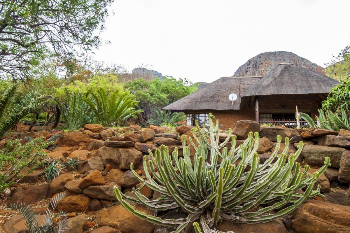 Amafu Forest Lodge Hoedspruit Extérieur photo