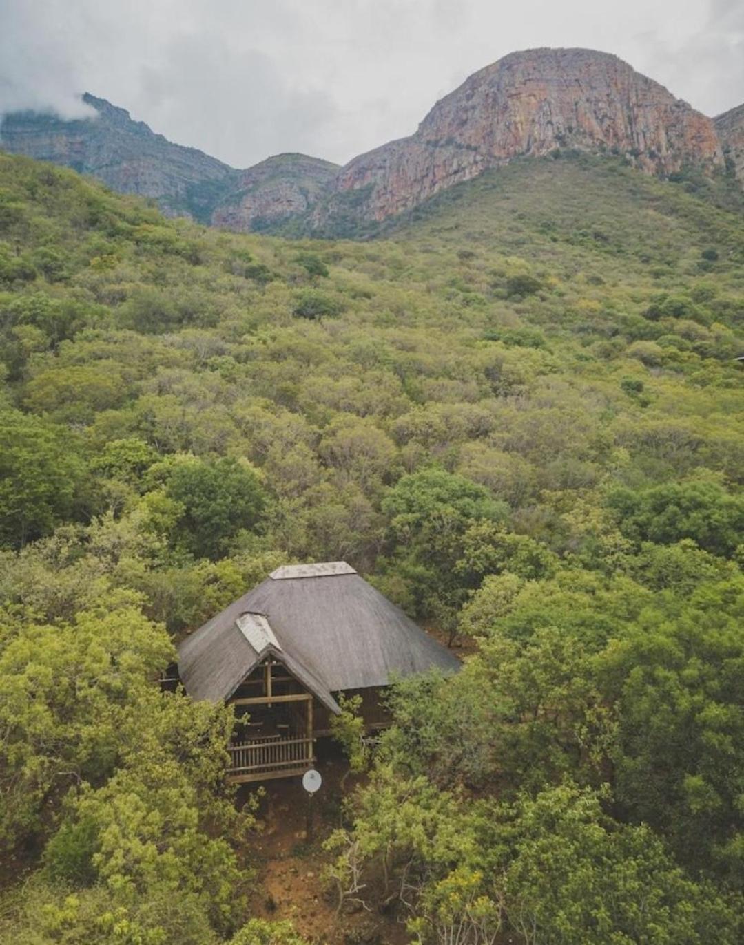 Amafu Forest Lodge Hoedspruit Extérieur photo