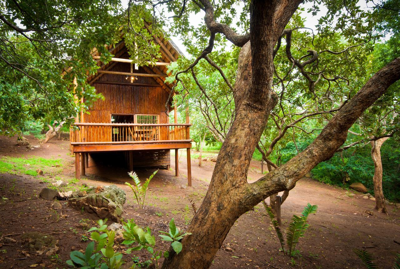 Amafu Forest Lodge Hoedspruit Extérieur photo