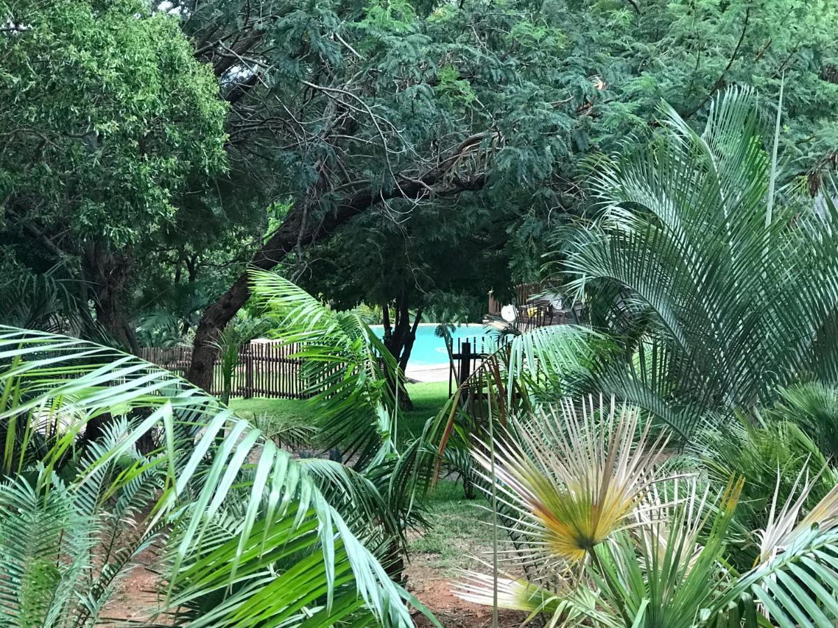 Amafu Forest Lodge Hoedspruit Extérieur photo