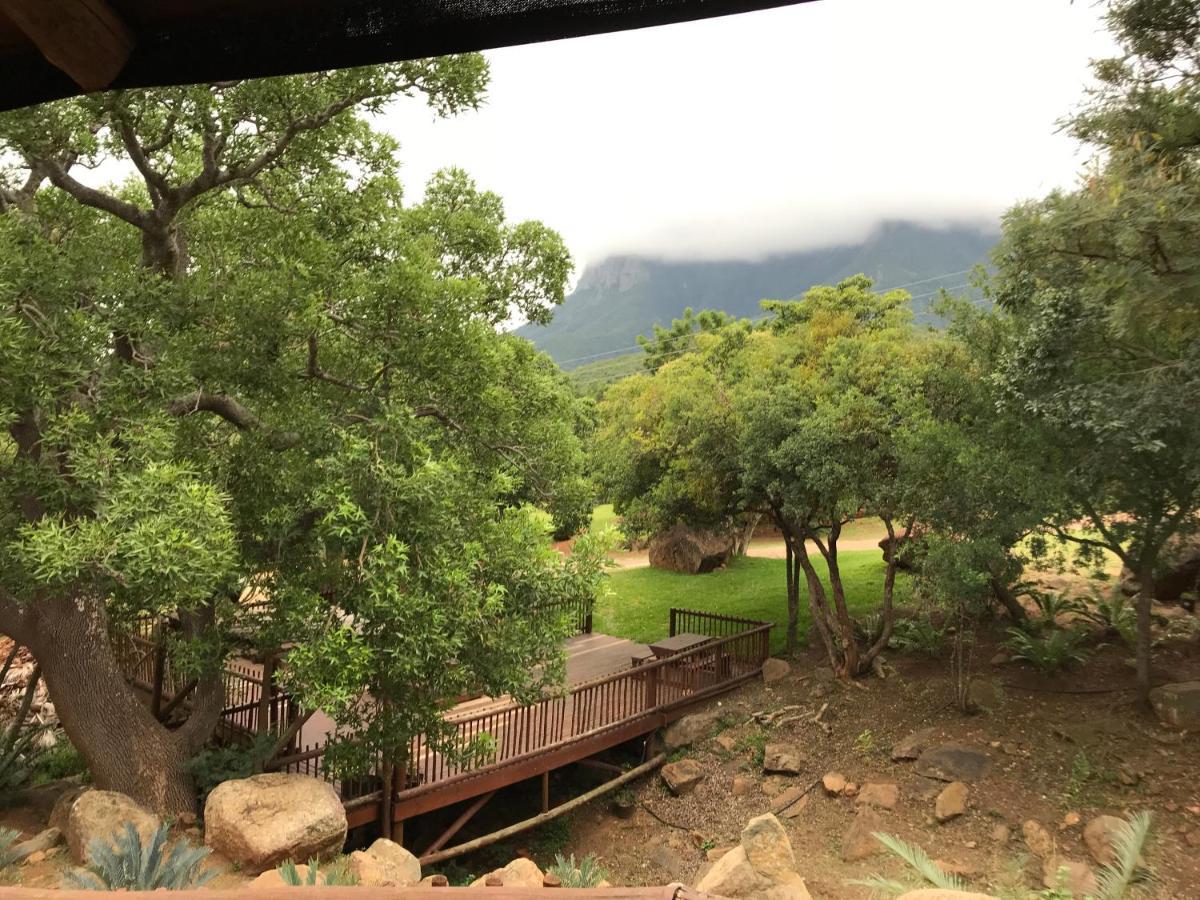 Amafu Forest Lodge Hoedspruit Extérieur photo
